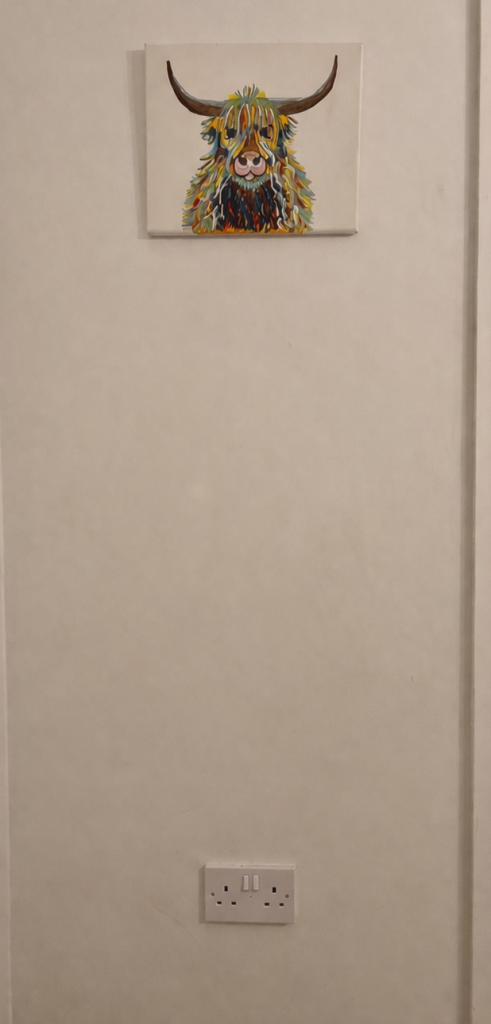 Electrical cable damaged in wall after drilling above a socket